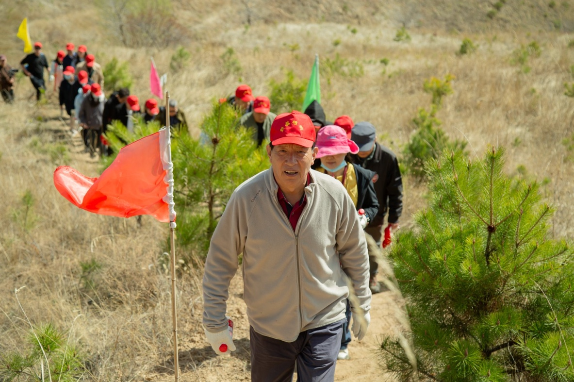 春风拂绿蔚州,14年坚守再添千株新松
